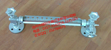 1645413246213036.png 雙色玻璃管液位計(物位).png